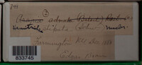 Image Associated With the Occurence